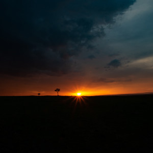 Listen to memory song with lyrics from desert date.