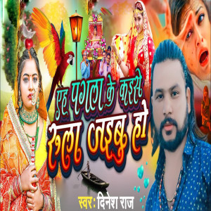 Listen to Eh Pagala Ke Kaise Rula Jaibu Ho song with lyrics from Dinesh Raj