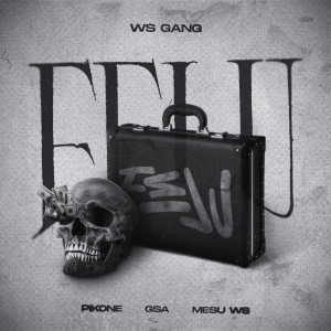 ดาวน์โหลดและฟังเพลง FELU (Explicit) พร้อมเนื้อเพลงจาก WS GANG