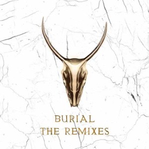 ดาวน์โหลดและฟังเพลง Burial (Skrillex & Trollphace Remix) (Explicit) พร้อมเนื้อเพลงจาก Yogi