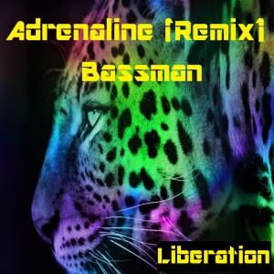 收听Bassman的Adrenaline (Remix)歌词歌曲