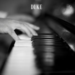 Listen to The Single Pedal of a Rose (From "The Queen's Suite") song with lyrics from Big Shelter