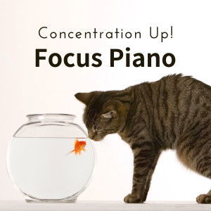 ดาวน์โหลดและฟังเพลง A Ballad for Those That Can พร้อมเนื้อเพลงจาก Piano Cats