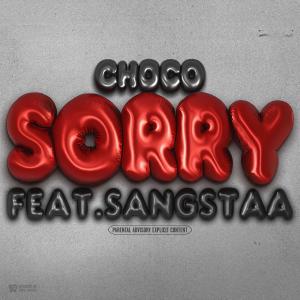 Sangstaa的專輯Sorry (feat. Sangstaa) (Explicit)