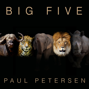 Paul Petersen的專輯Big Five