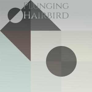 Album Plunging Hairbird from Various