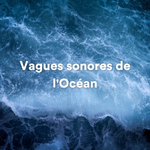 Sounds of Nature Noise的专辑Vagues sonores de l'Océan