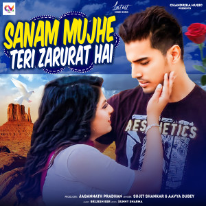 Listen to Sanam Mujhe Teri Zarurat Hai song with lyrics from Sujit Shankar