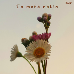 Album Tu Mera Nahin from Maan panu