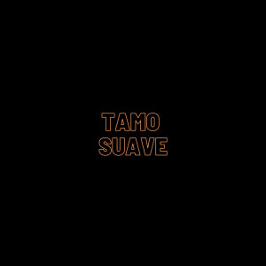 Listen to Tamo Suave (Remix|Explicit) song with lyrics from Stay Sauce
