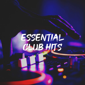 Various Artists的專輯Essential Club Hits