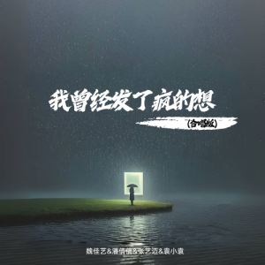 Listen to 我曾经发了疯的想 (合唱版) song with lyrics from 魏佳艺