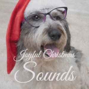 Listen to Santa's Hooked on Country Music song with lyrics from Jimmy Flynn