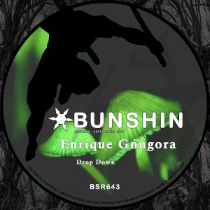 Listen to Drop Down song with lyrics from Enrique Gongora