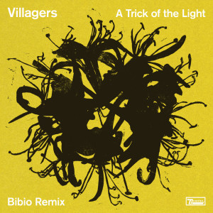 ดาวน์โหลดและฟังเพลง A Trick of the Light (Bibio Remix) พร้อมเนื้อเพลงจาก Villagers