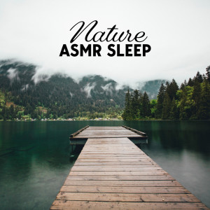 Nature Meditation Academy的专辑Nature ASMR Sleep (Relaxing Tones, Morning Sound Bath)