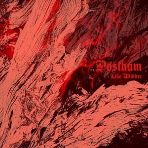 ดาวน์โหลดและฟังเพลง Lonewolf Unknown พร้อมเนื้อเพลงจาก Posthum
