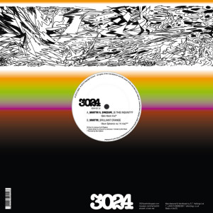 Listen to Is This Insanity? (Ben Klock Mix) song with lyrics from Martyn