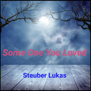 Steuber Lukas的專輯Some One You Loved (Cover)