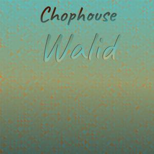 Listen to Chophouse Walid song with lyrics from Lany Mers
