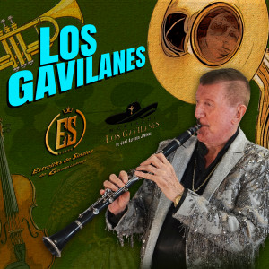 ดาวน์โหลดและฟังเพลง Los Gavilanes พร้อมเนื้อเพลงจาก Banda Estrellas De Sinaloa De German Lizarraga