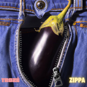ดาวน์โหลดและฟังเพลง Zippa พร้อมเนื้อเพลงจาก Troze
