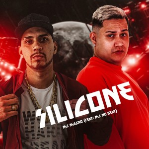 Silicone