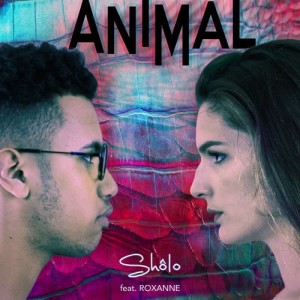收聽Sholo的Animal歌詞歌曲