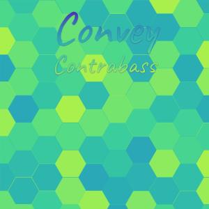ดาวน์โหลดและฟังเพลง Convey Contrabass พร้อมเนื้อเพลงจาก Marea Hasher