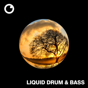 Dreazz的專輯Liquid Drum & Bass Sessions #57