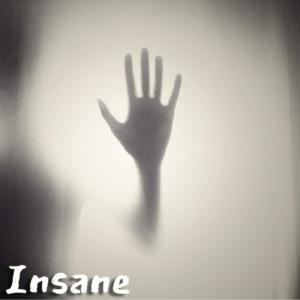 Album Insane from Schnubbi