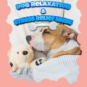 Deep Separation Anxiety Music For Dog Relaxation
