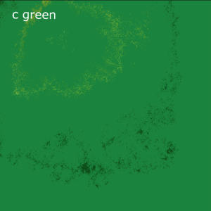 ดาวน์โหลดและฟังเพลง c green พร้อมเนื้อเพลงจาก George Fellows