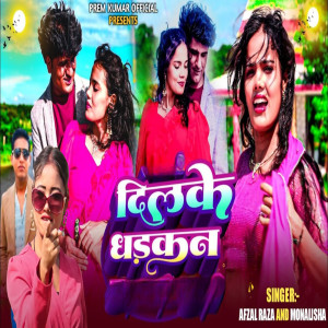 Listen to Dil ke Dhadakan song with lyrics from Afzal Raza