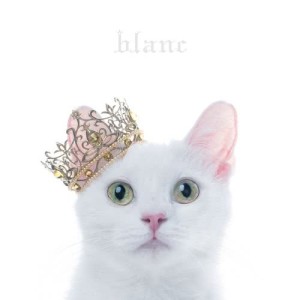 ดาวน์โหลดและฟังเพลง Anatani Deawanakereba Kasetsutouka พร้อมเนื้อเพลงจาก Aimer