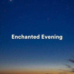 Enchanted Evening (Calming piano tracks)