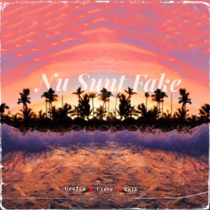 Album Nu Sunt Fake from GeoZen
