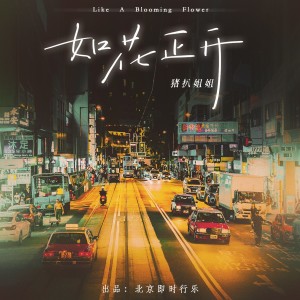 收聽黃詩淳的如花正開 (完整版)歌詞歌曲