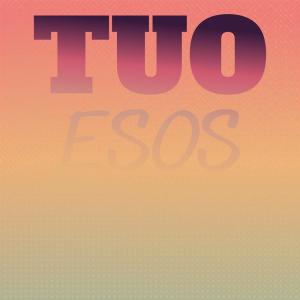 收听Carys Miry的Tuo Esos歌词歌曲