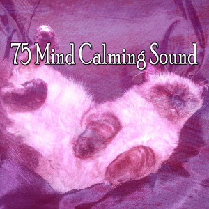 Listen to Forty Winks song with lyrics from SPA