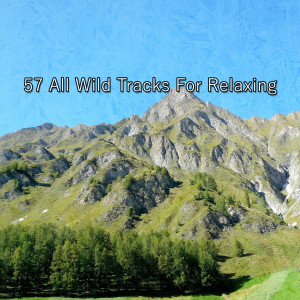 Rockabye Lullaby的专辑57 All Wild Tracks For Relaxing