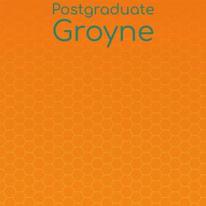 Various Artists的專輯Postgraduate Groyne