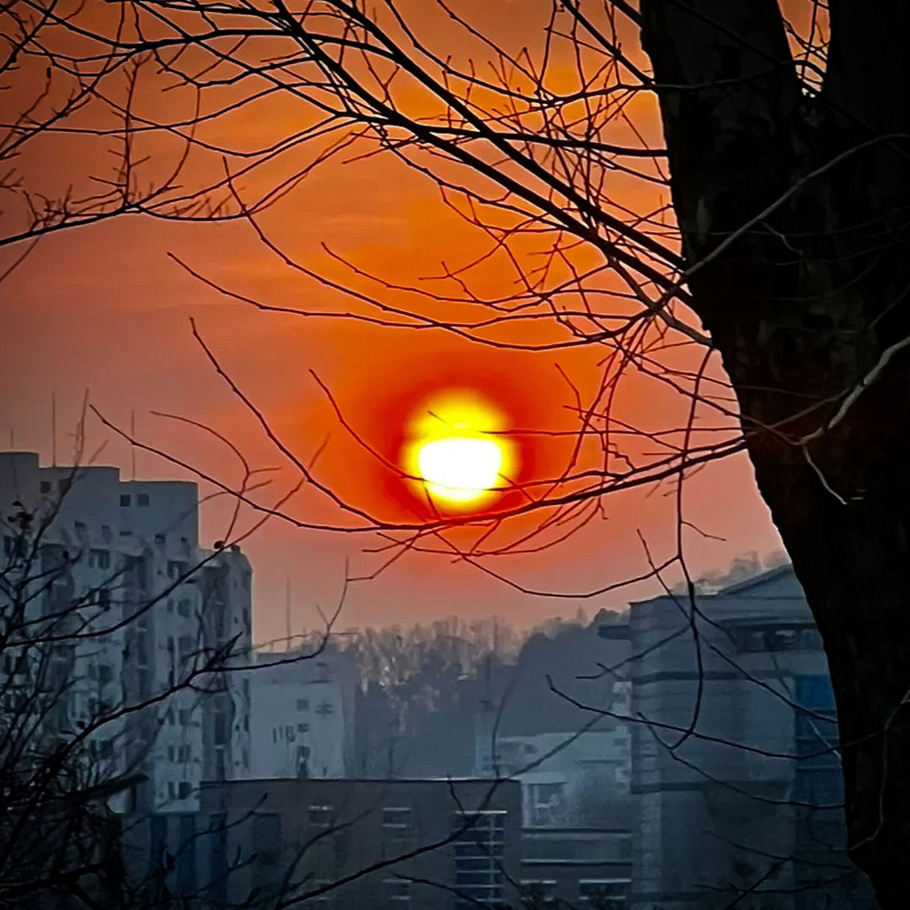 난 오늘 죽기로 했어