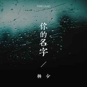 Listen to 你的名字 song with lyrics from 杨玛丽
