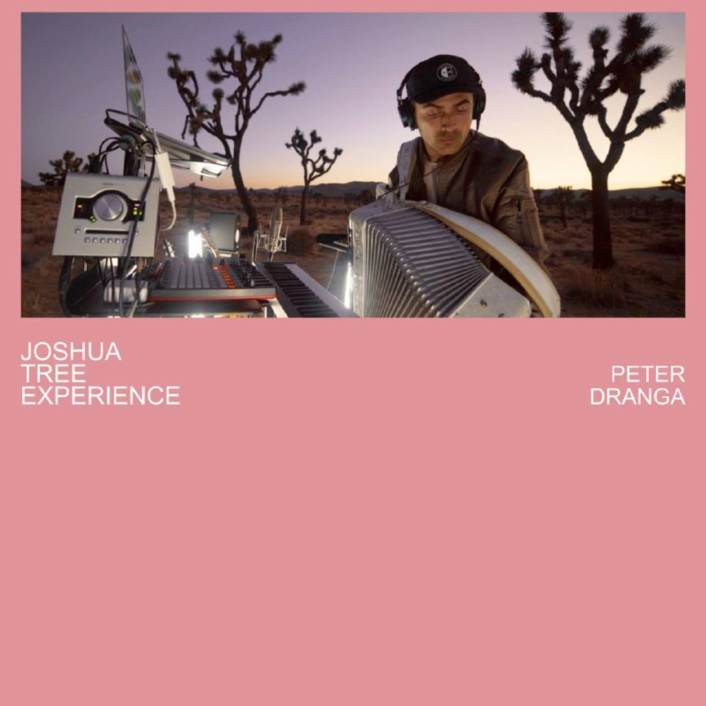 Joshua Tree Experience