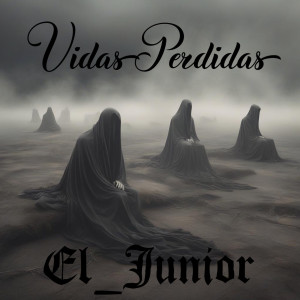 Listen to Vidas Perdidas (Explicit) song with lyrics from El_Junior