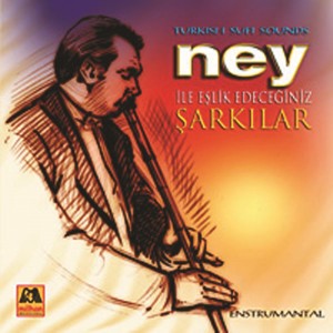 Listen to Kalamış song with lyrics from Ergin Kızılay