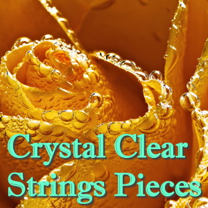 Listen to Concerto for Organ No. 2: I song with lyrics from Scandinavian Philharmonic Orchestra