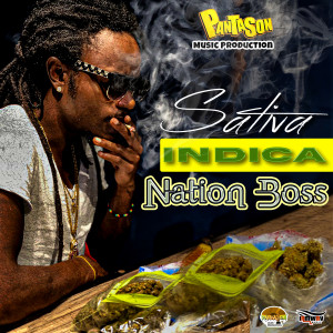 Panta Son的專輯Sativa Indica