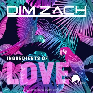 收聽Club Domani的Dance for Money (Dim Zach Mix)歌詞歌曲